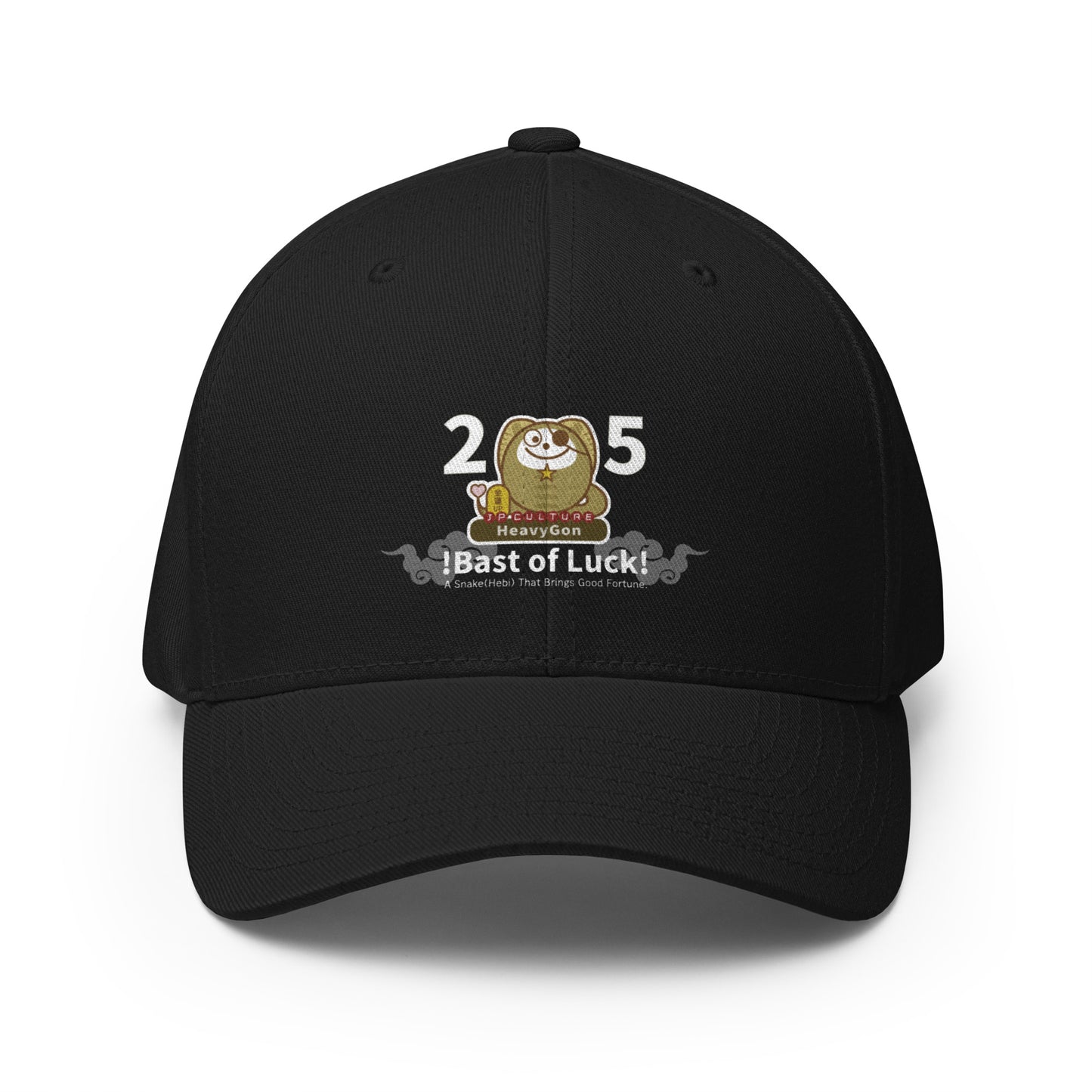Gorra de sarga estructurada HeavyGon