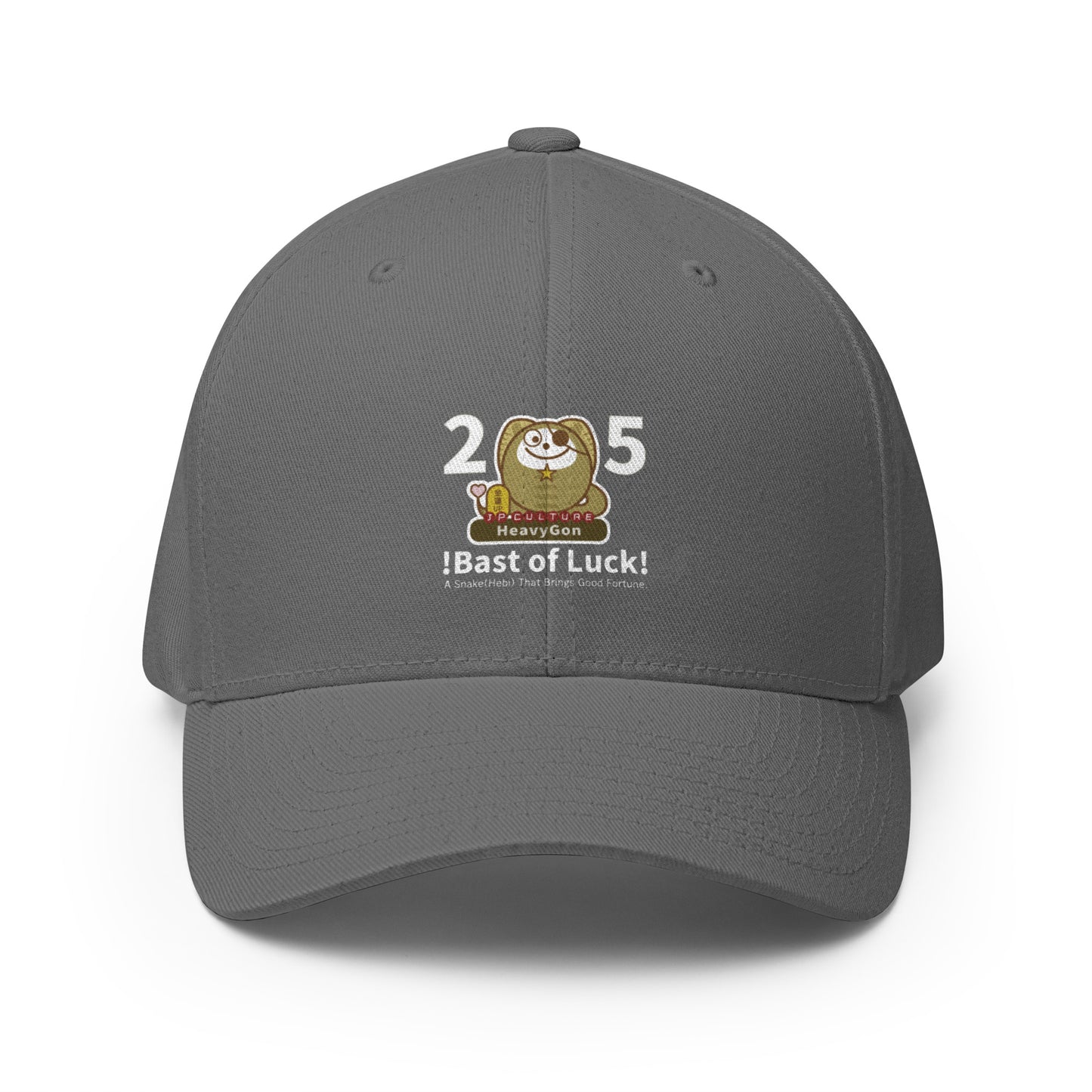 Gorra de sarga estructurada HeavyGon