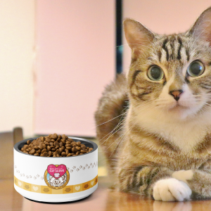 Cat Goods
